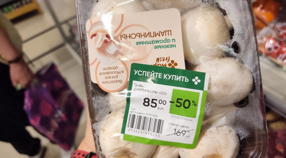 ШАМПИНЬОНЫ ОТ 213 ДО 560